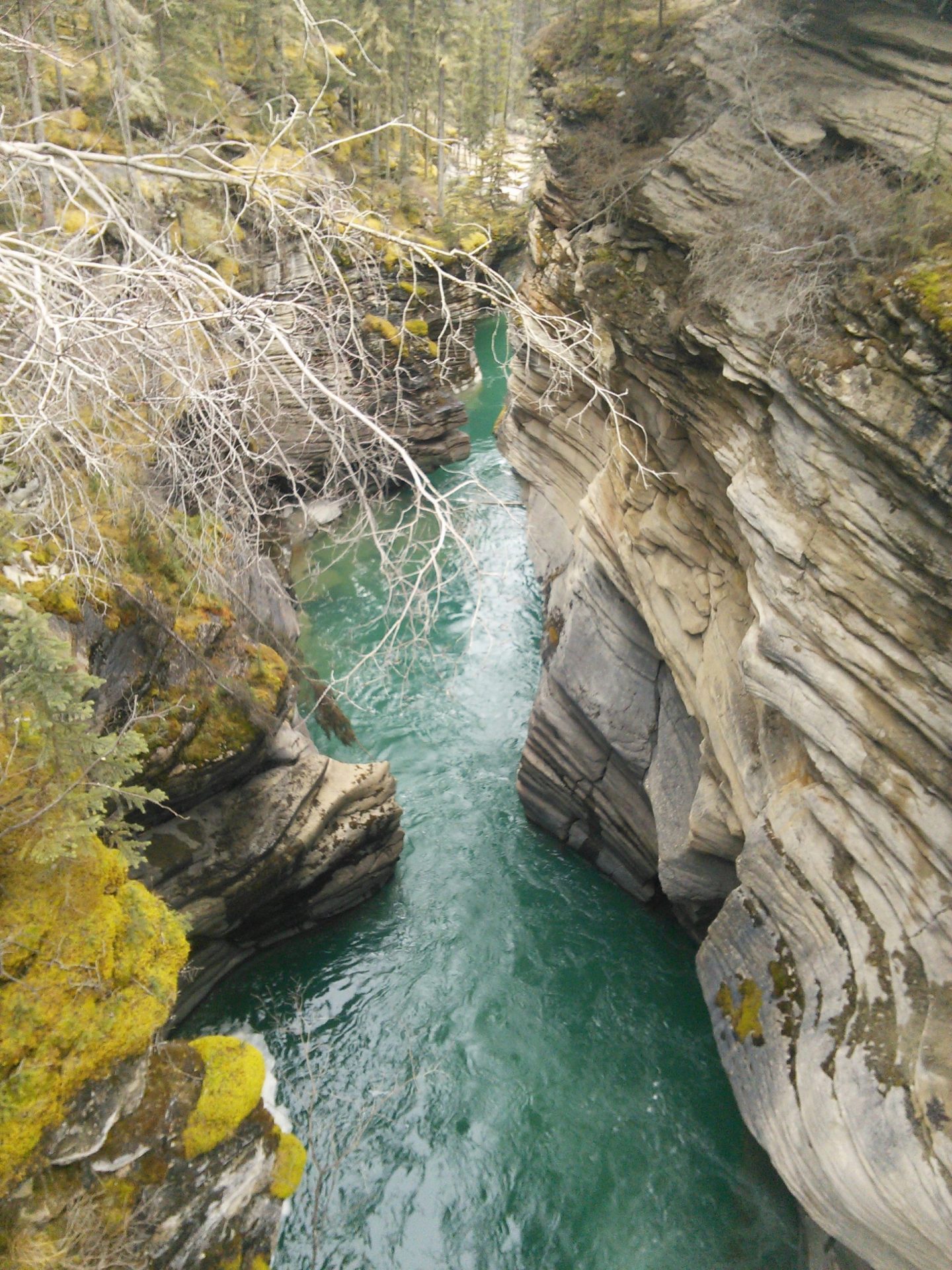 קנדה, נהר הקשת BOW