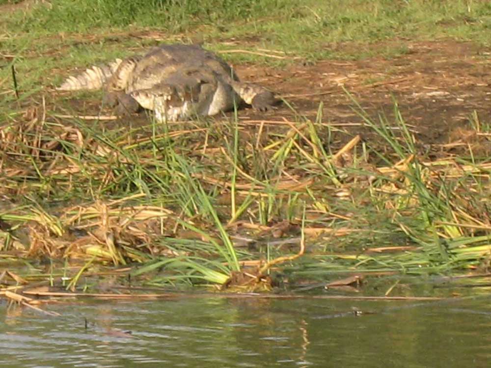 אתיופיה, אגם צ'אמו