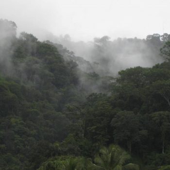 יער גשם קוסטה ריקה