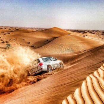 טיול ספארי לילה באיחוד האמירויות